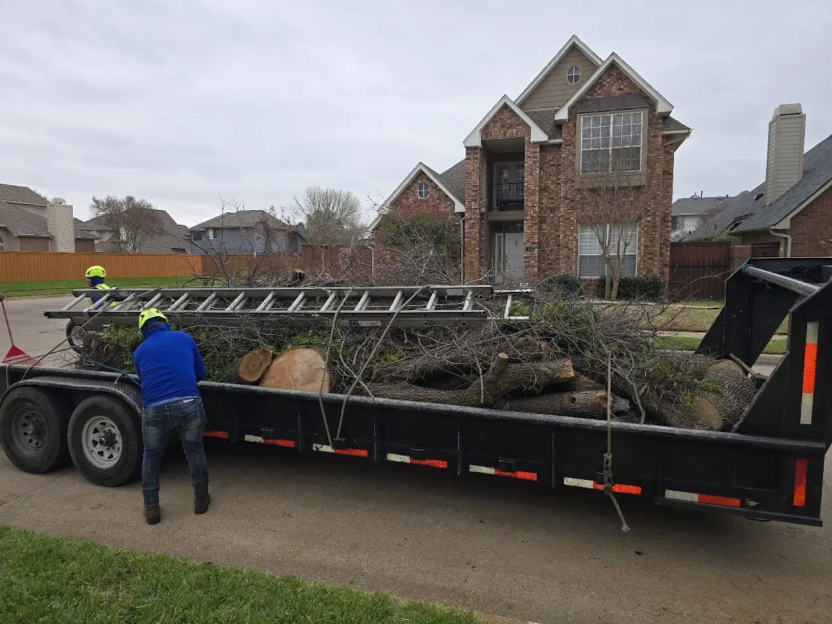 Expert Lot Clearing with proper safety equipment in Sinclair
